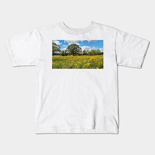 Princess Point Hamilton goldenrod field Kids T-Shirt by srosu